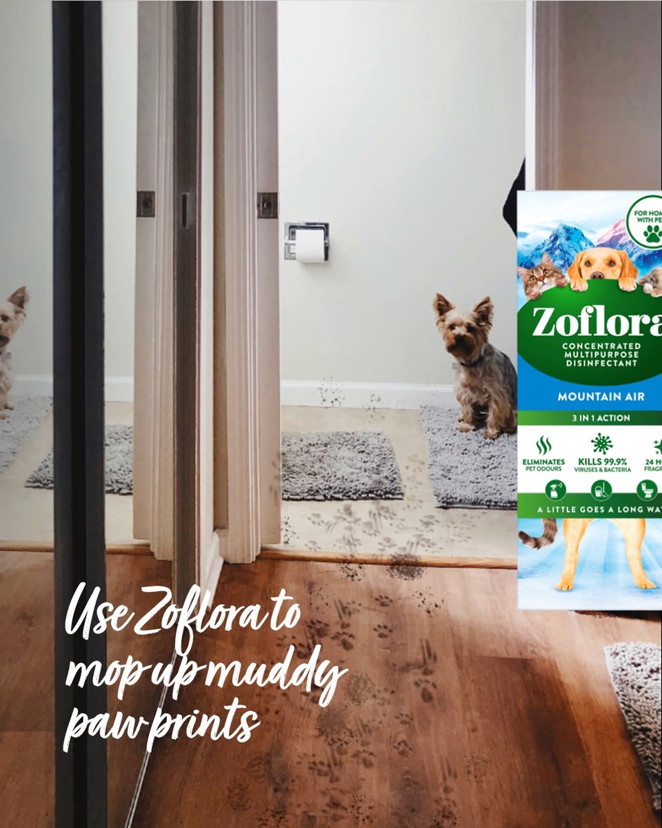 Zoflora Mountain Air Concentrate - Breathe Deep. Clean Deeper