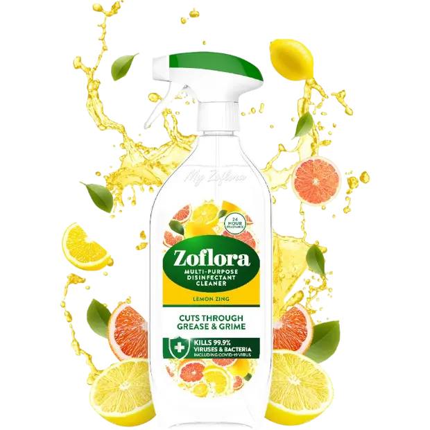 Lemon Zing-Photoroom.png__PID:c6210c71-f17c-418d-8fd4-3712cfbfee44