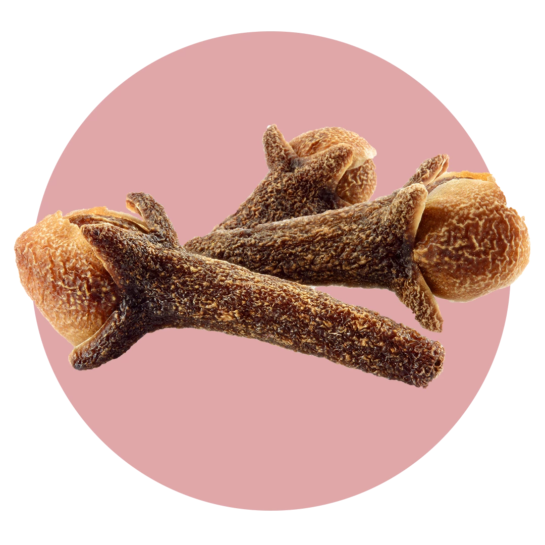 Zoflora Cranberry & Orange Concentrate
