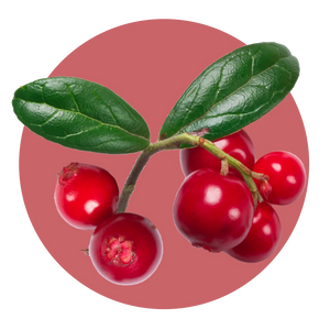 Juicy Cranberry