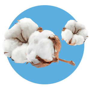Fresh Cotton