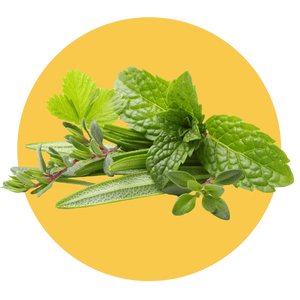 Fresh Herbs