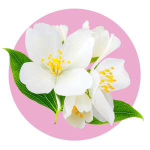 Sweet Freesia