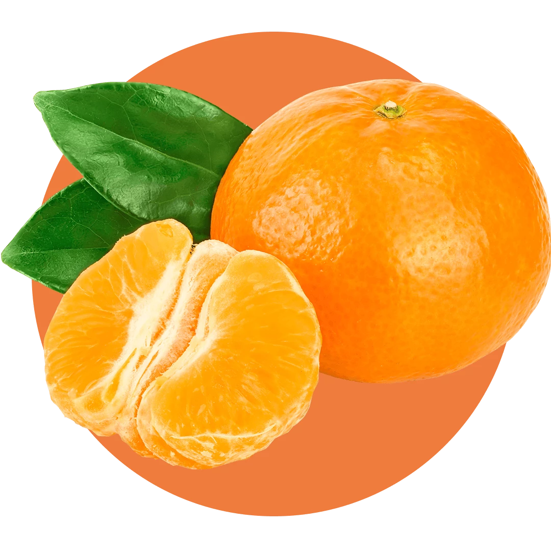 Zoflora Mandarin & Lime Concentrate
