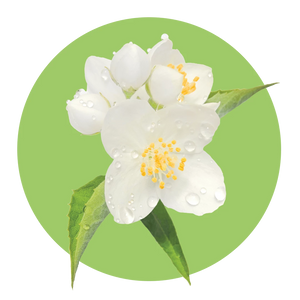 Sweet Orange Blossom