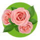 Ingredient 3