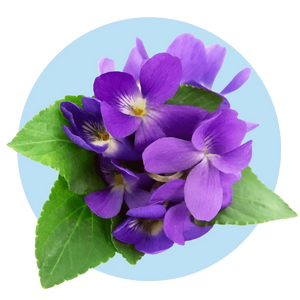 Airy Violet