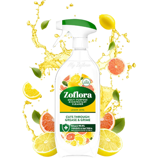 Lemon Zing-Photoroom.png__PID:c6210c71-f17c-418d-8fd4-3712cfbfee44