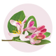 Ingredient 2