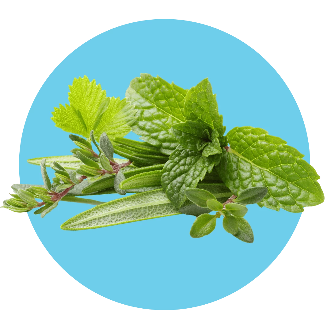 Zoflora Mountain Air Concentrate