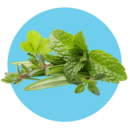 Zoflora Mountain Air Concentrate