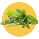 Ingredient 2