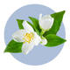 Ingredient 3