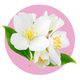 Ingredient 3