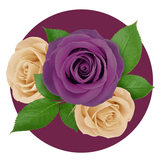 Zoflora Midnight Blooms Concentrate