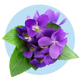 Ingredient 2